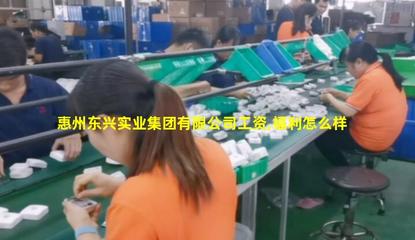 惠州東興實業集團商務代理代辦服務 高效賦能企業運營的全方位解決方案